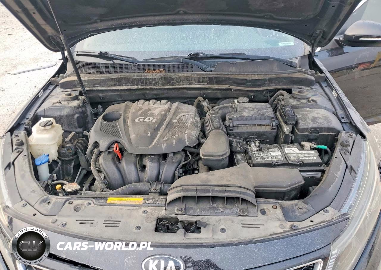2015 Kia Optima Ex VIN:5XXGN4A75FG455484 - 11