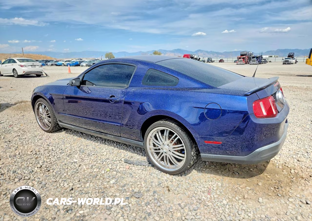 2010 Ford Mustang VIN:1ZVBP8AN3A5112435 - 2
