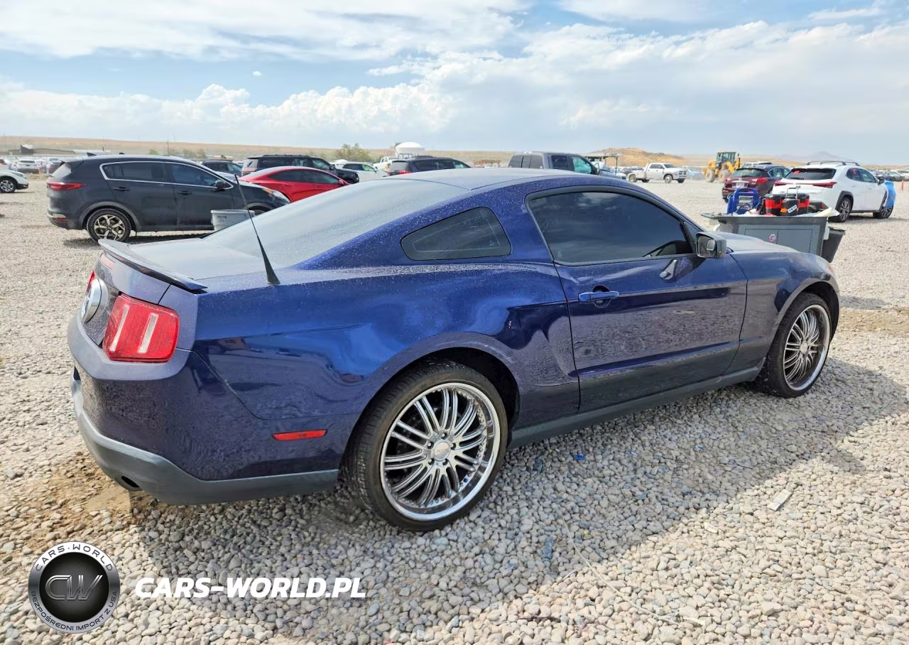 2010 Ford Mustang VIN:1ZVBP8AN3A5112435 - 3