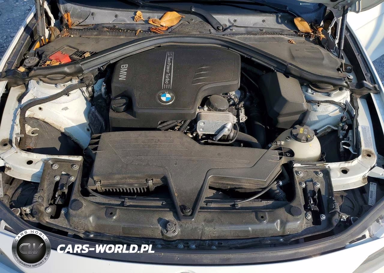 2015 BMW 320 I xDrive VIN:WBA3C3G56FNT51771 - 11