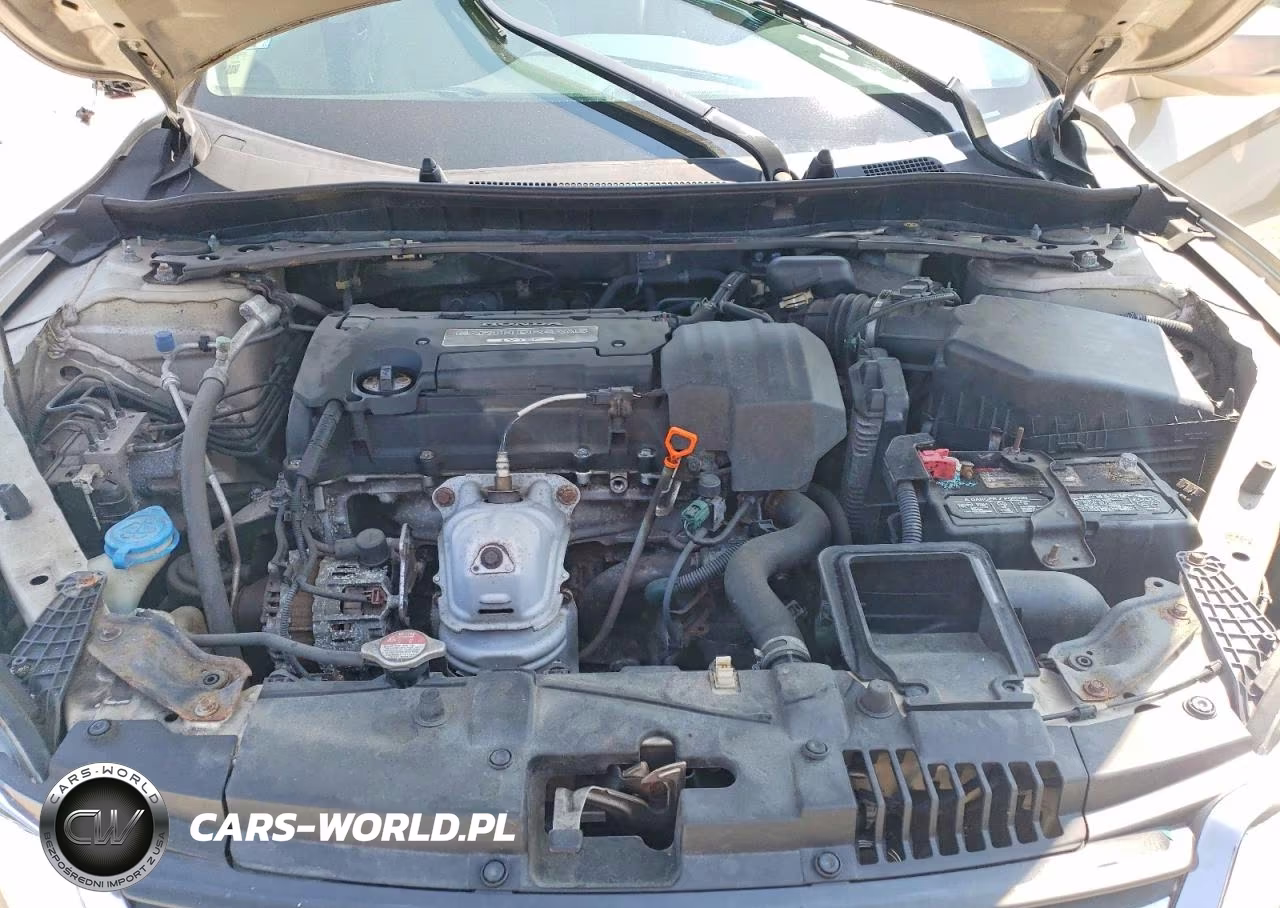 2013 Honda Accord Exl VIN:1HGCR2F87DA038838 - 11