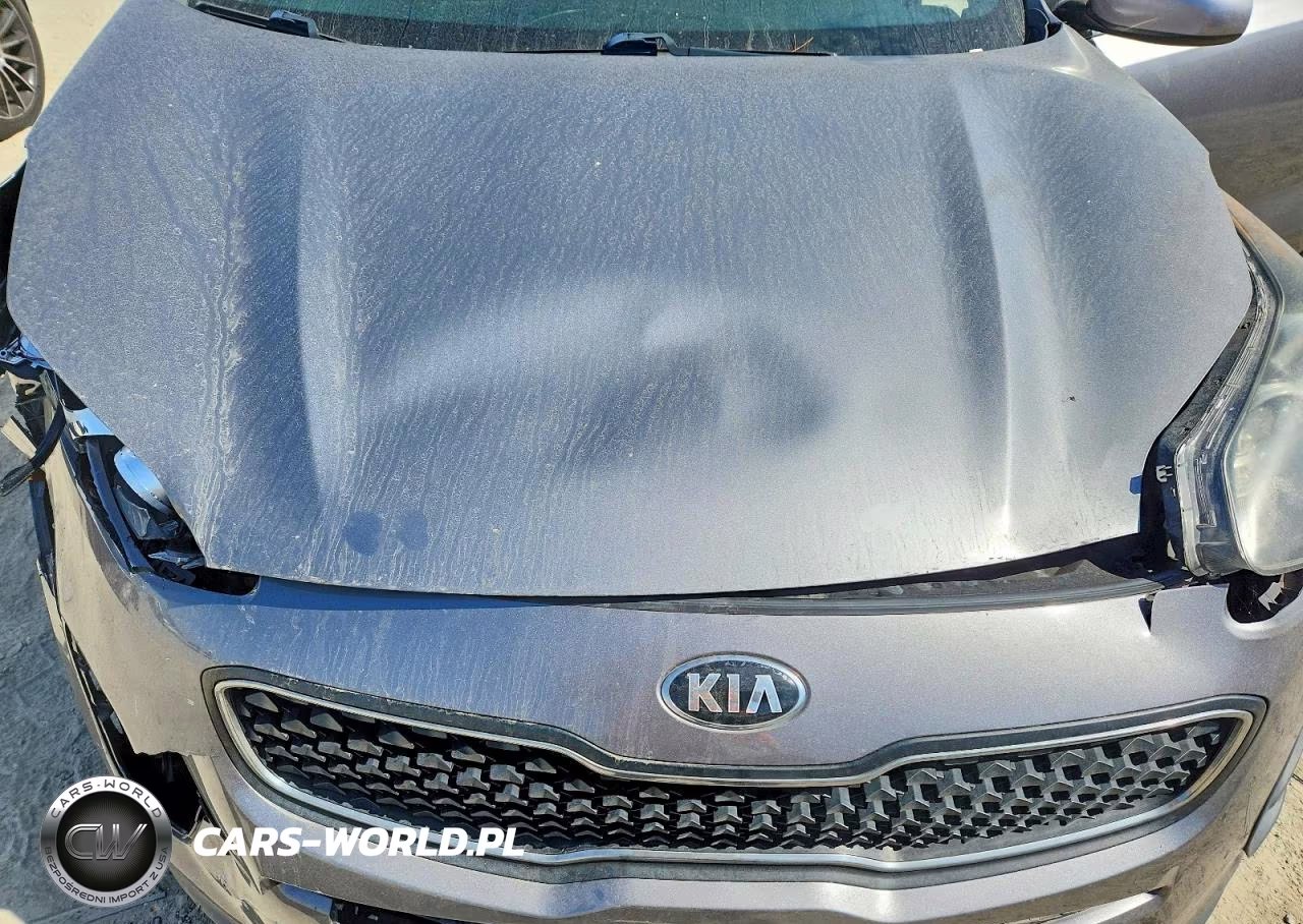2019 Kia Sportage Lx VIN:KNDPM3AC8K7559075 - 12