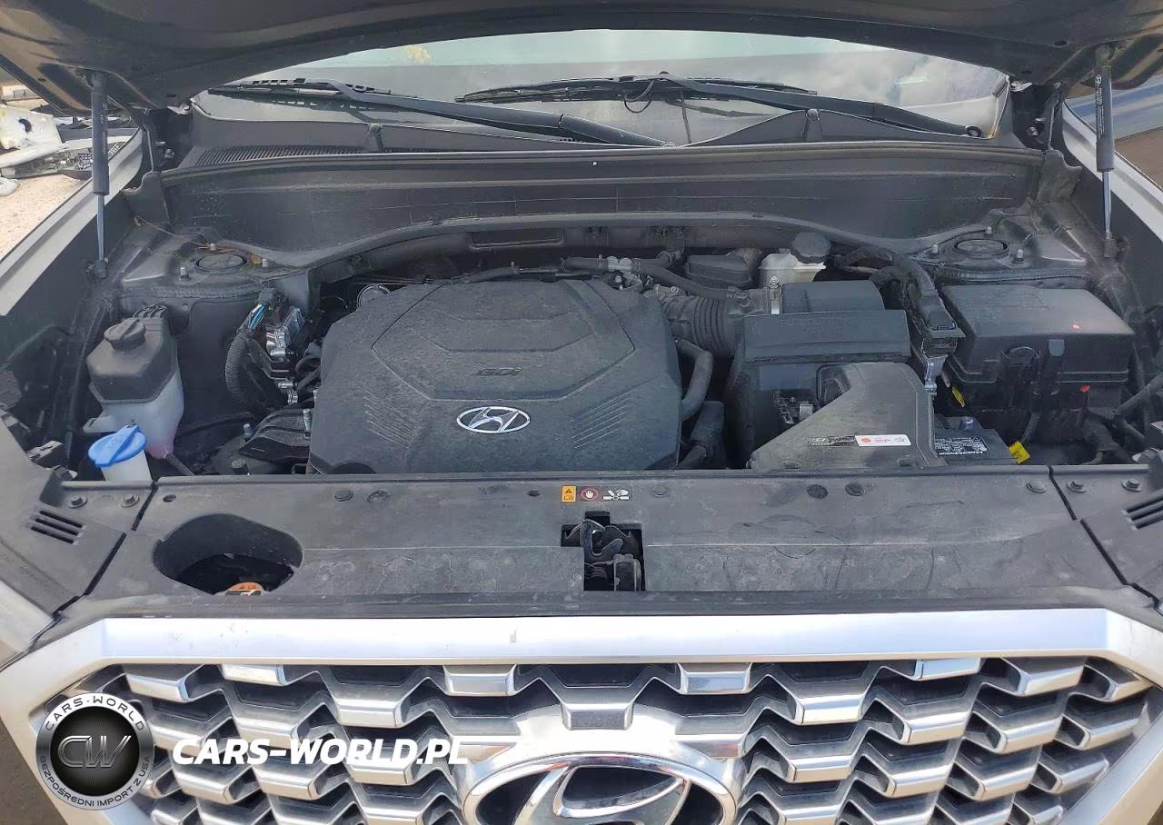 2021 Hyundai Palisade Limited VIN:KM8R54HE8MU224238 - 11