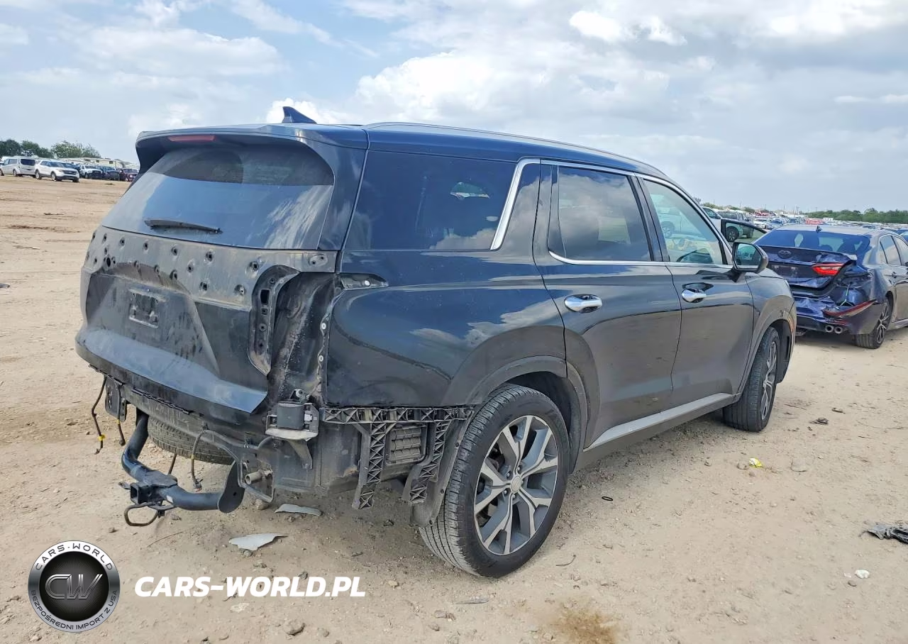 2021 Hyundai Palisade Limited VIN:KM8R54HE8MU224238 - 3