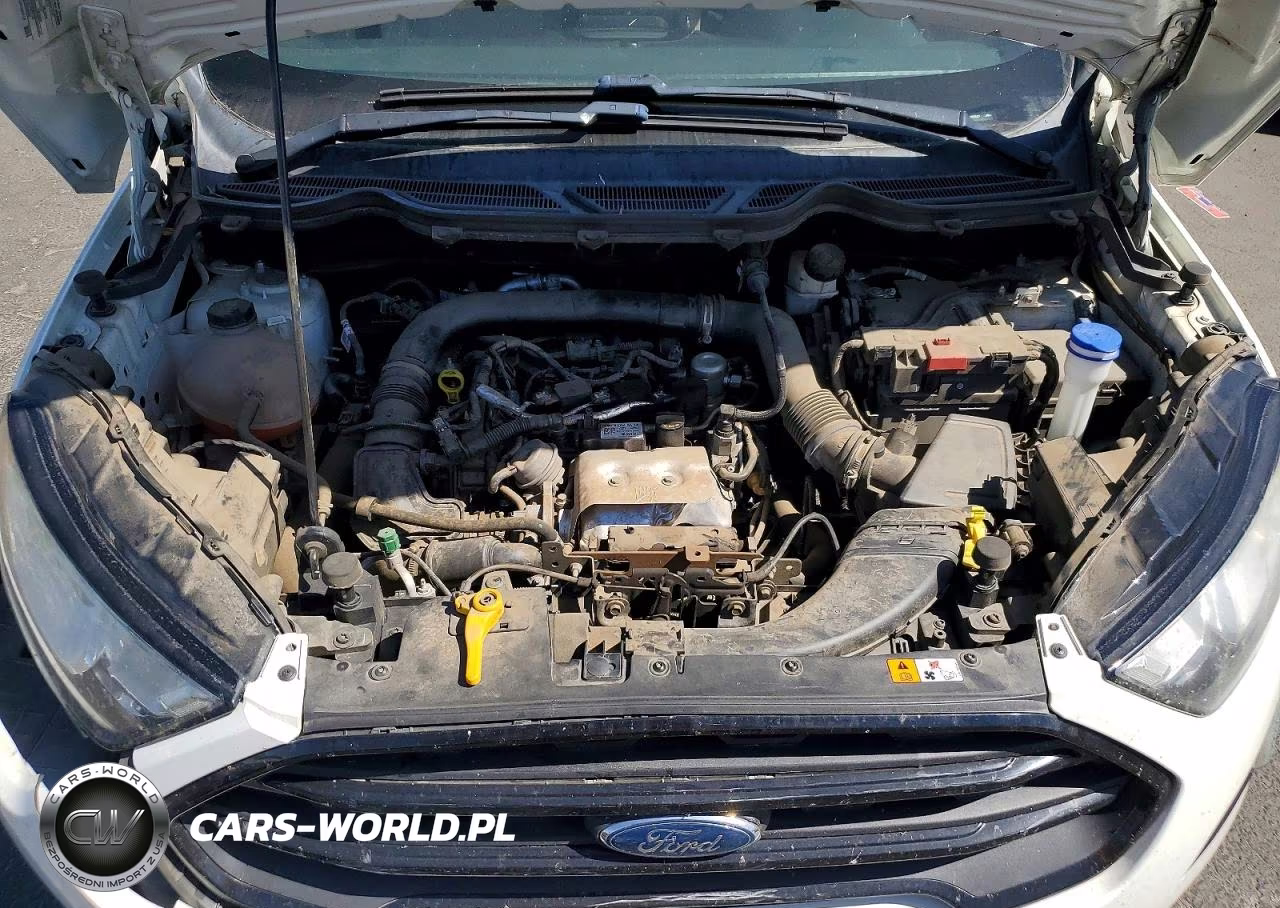 2019 Ford Ecosport S VIN:MAJ3S2FE9KC288825 - 12