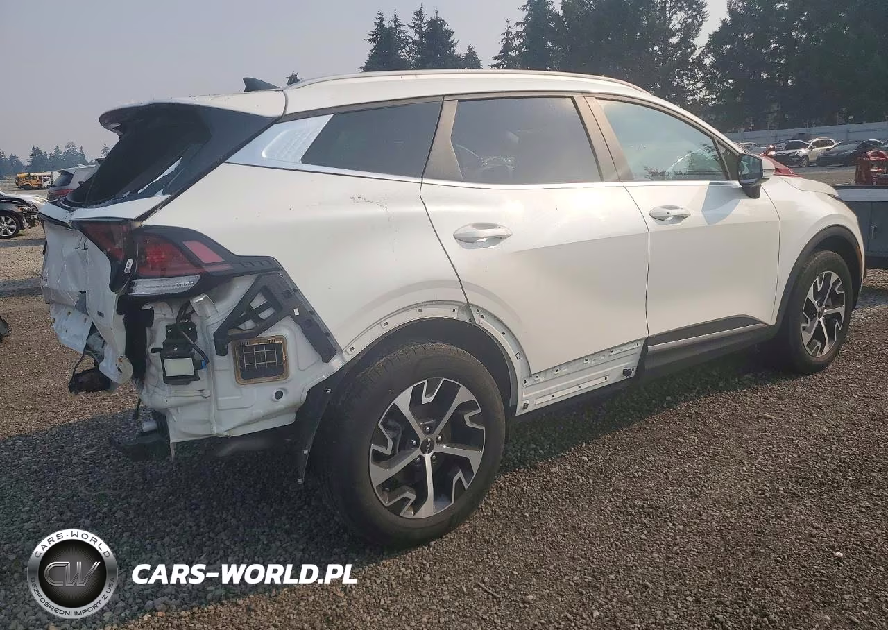 2023 Kia Sportage Ex VIN:KNDPVCAG5P7061133 - 3