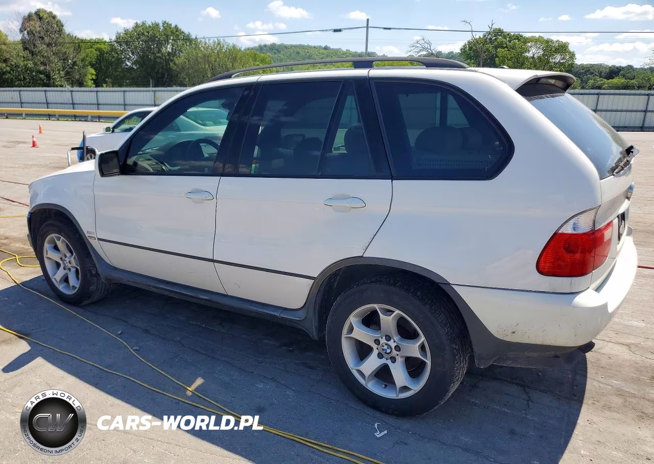 2005 BMW X5 3.0I VIN:5UXFA13565LY17417 - 2