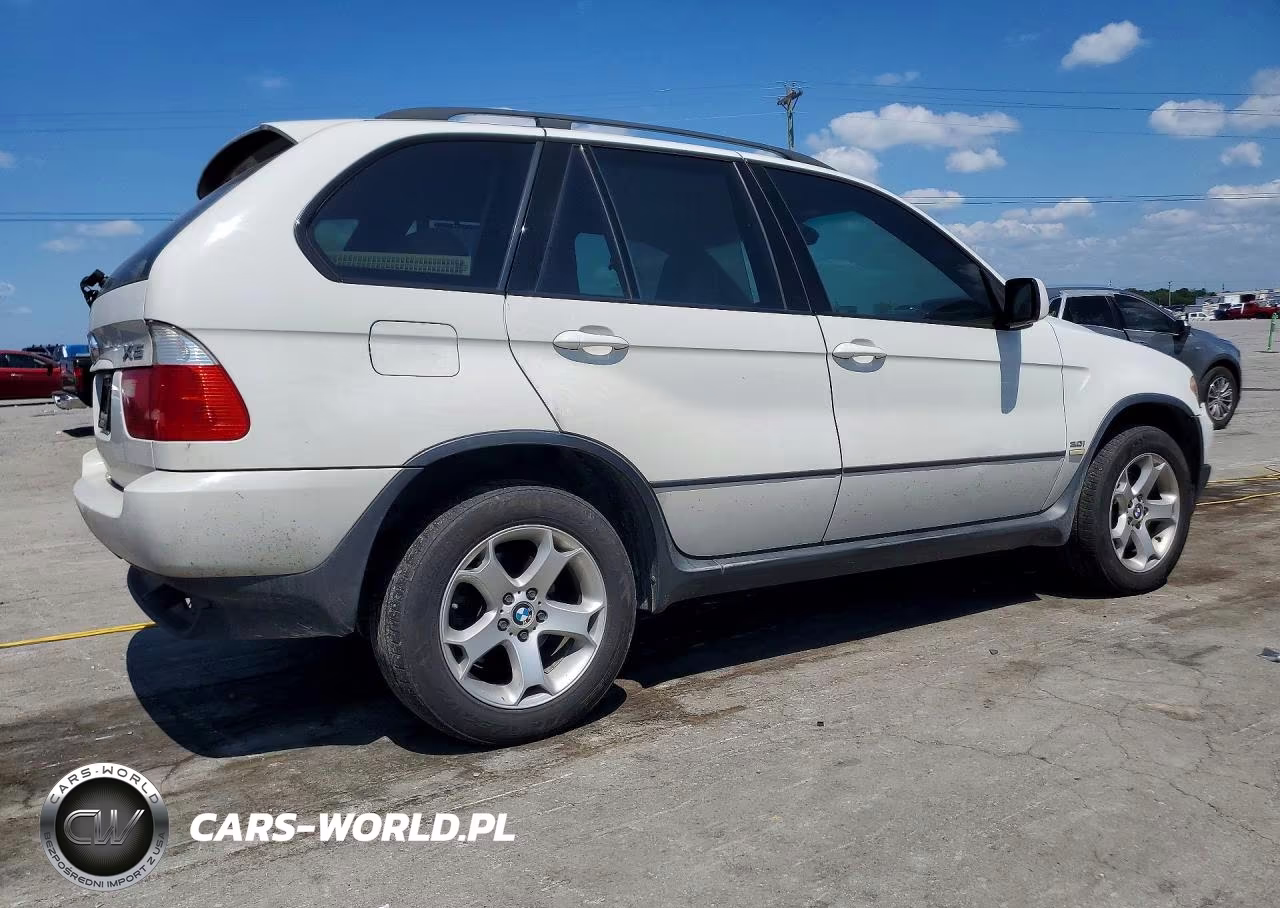 2005 BMW X5 3.0I VIN:5UXFA13565LY17417 - 3