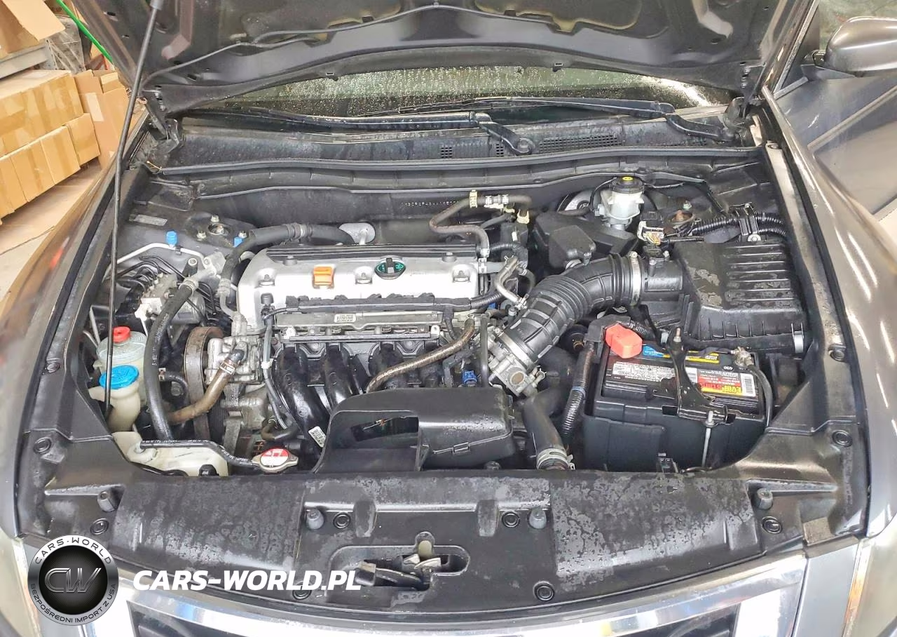 2010 Honda Accord Lxp VIN:1HGCP2F46AA195775 - 11