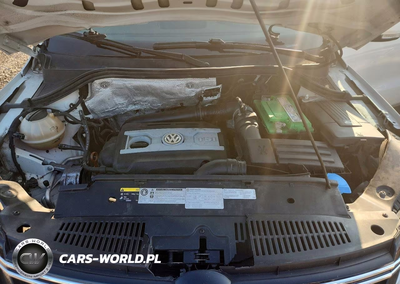 2013 Volkswagen Tiguan S VIN:WVGAV7AX4DW556403 - 12