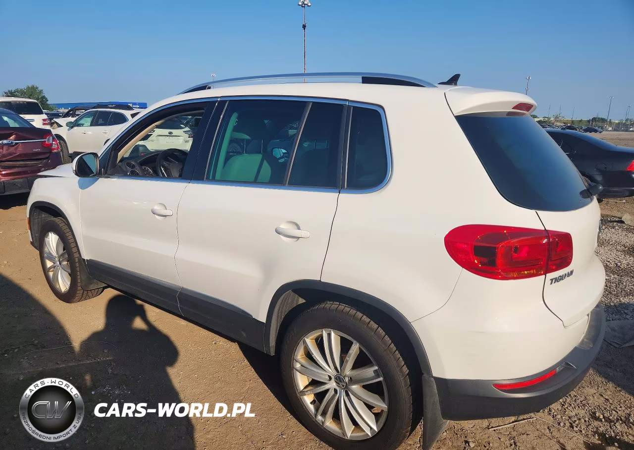 2013 Volkswagen Tiguan S VIN:WVGAV7AX4DW556403 - 2