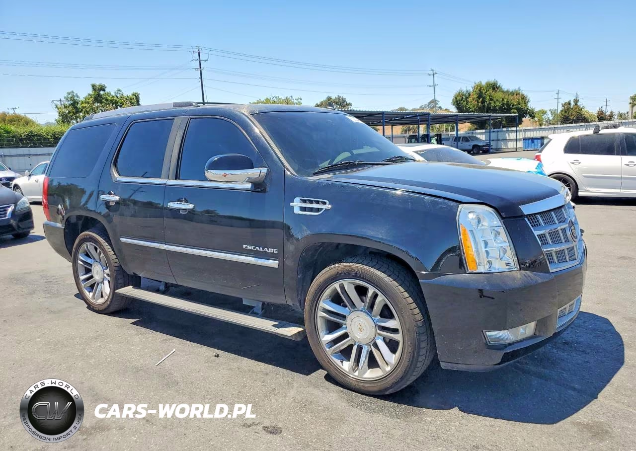 2011 Cadillac Escalade Platinum VIN:1GYS4DEF7BR263743 - 4