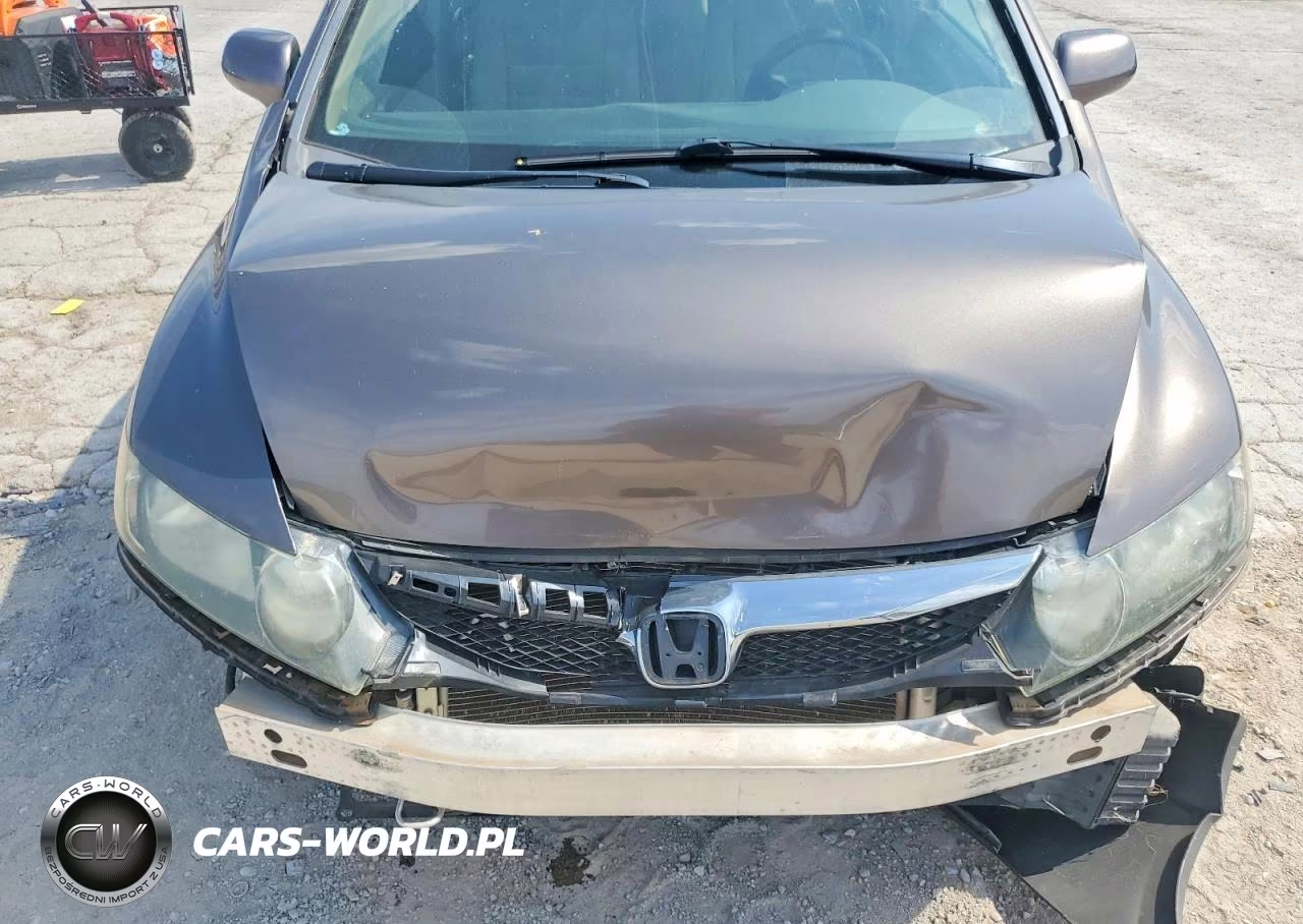 2010 Honda Civic Lx VIN:19XFA1F54AE021118 - 11