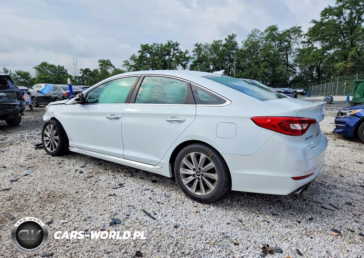 2016 Hyundai Sonata Sport VIN:5NPE34AF1GH265790 - 2