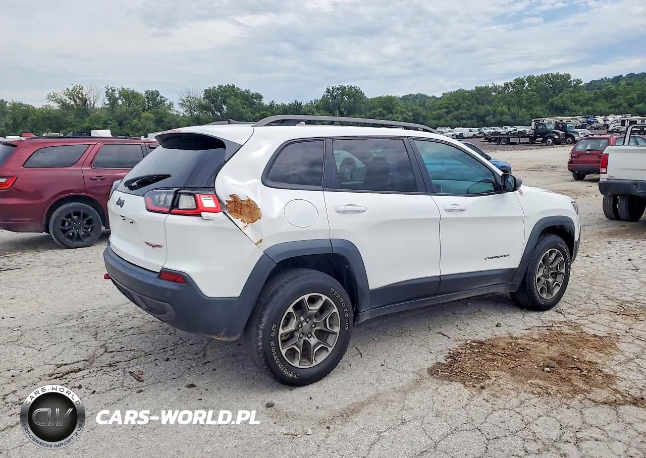 2020 Jeep Cherokee Trailhawk VIN:1C4PJMBX6LD651739 - 3