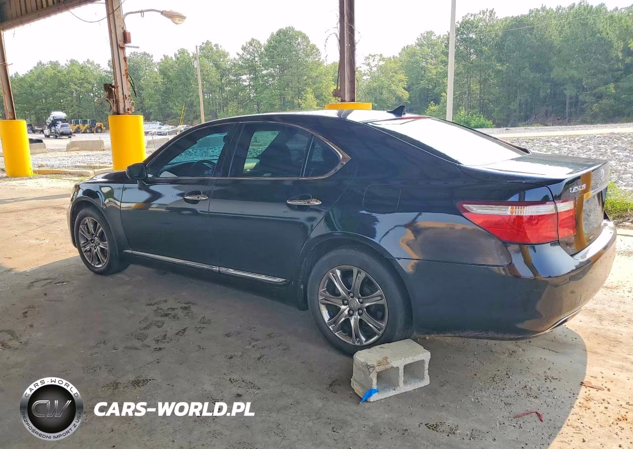 2009 LEXUS LS 460 VIN:JTHBL46F395090410 - 2