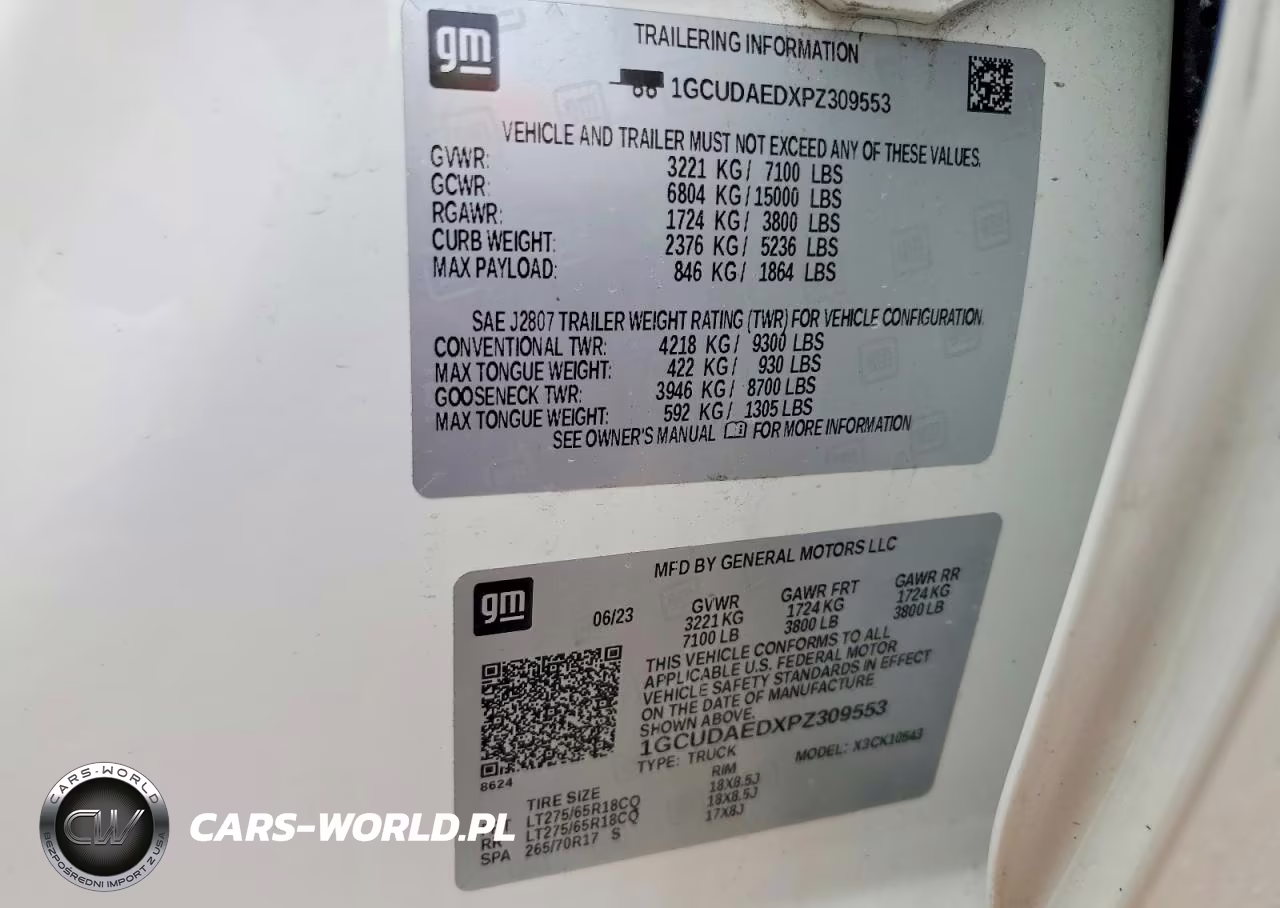 2023 Chevrolet Silverado K1500 VIN:1GCUDAEDXPZ309553 - 12