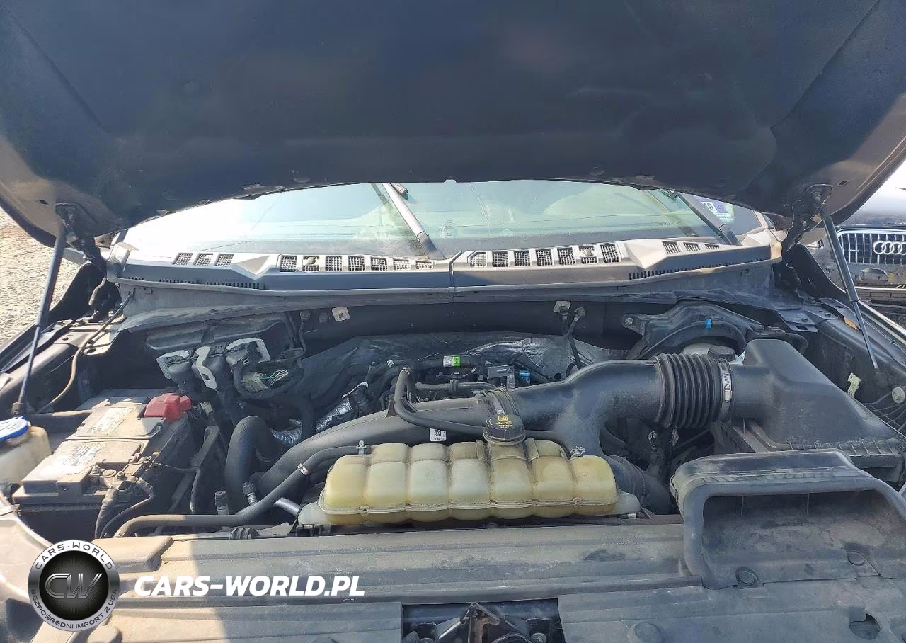 2019 Ford F150 Supercrew VIN:1FTEW1EP7KFD24546 - 11