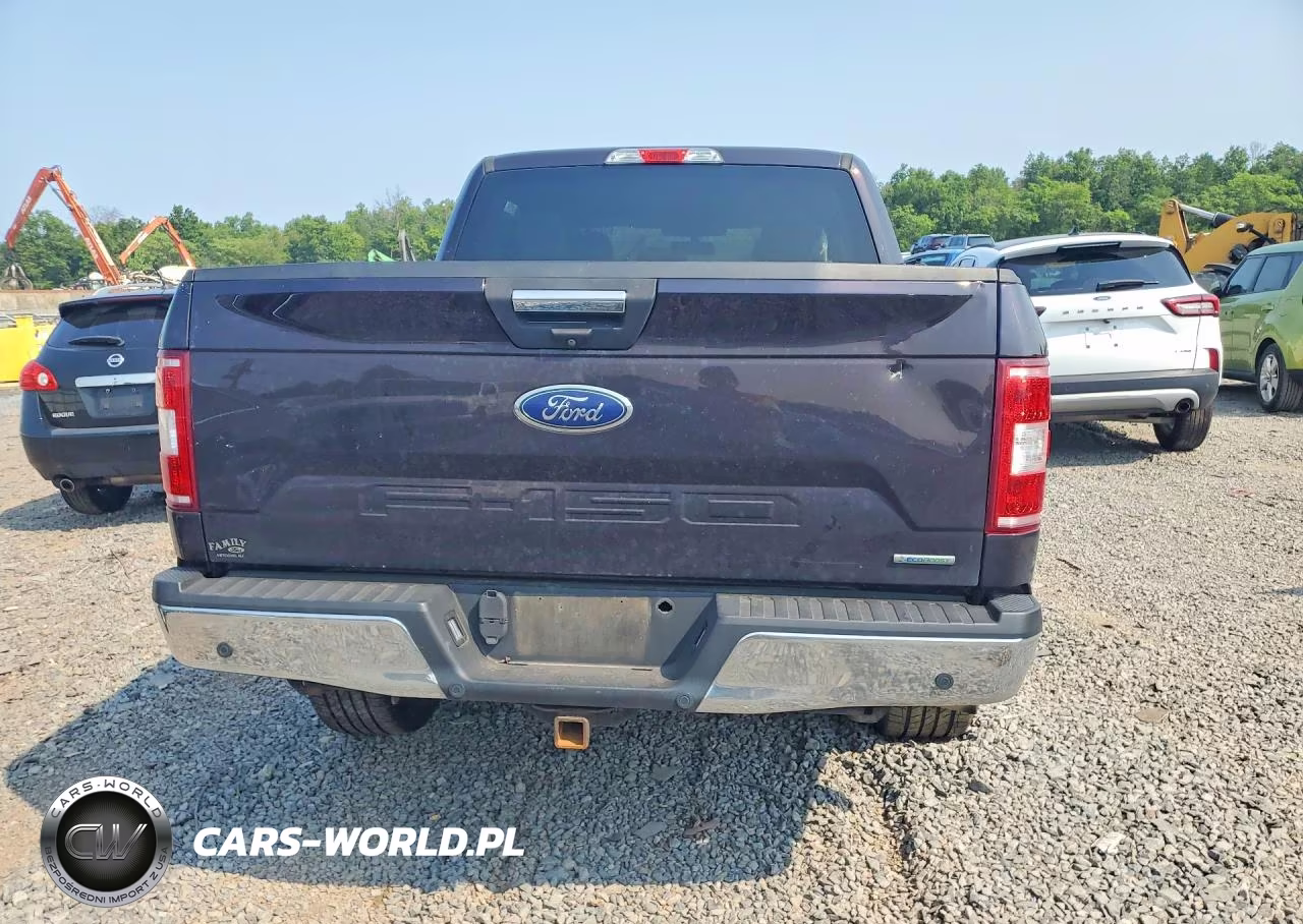 2019 Ford F150 Supercrew VIN:1FTEW1EP7KFD24546 - 6