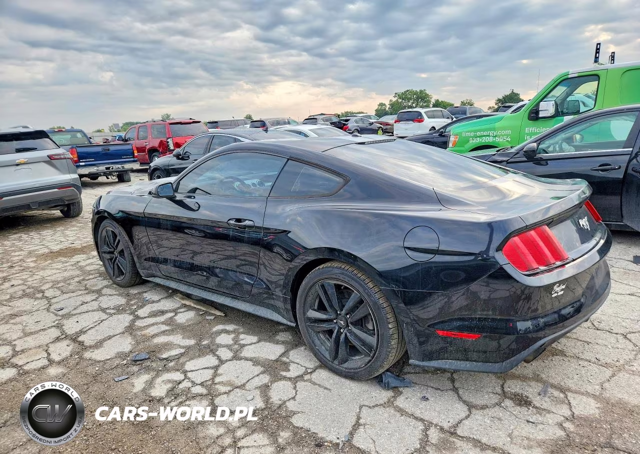 2017 Ford Mustang VIN:1FA6P8TH6H5346046 - 2