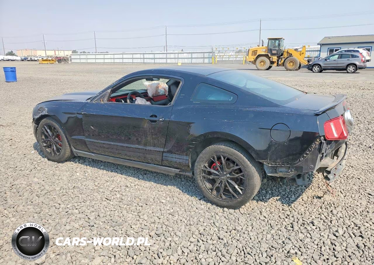 2010 Ford Mustang VIN:1ZVBP8AN9A5176396 - 2