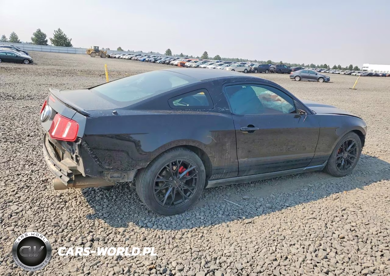 2010 Ford Mustang VIN:1ZVBP8AN9A5176396 - 3