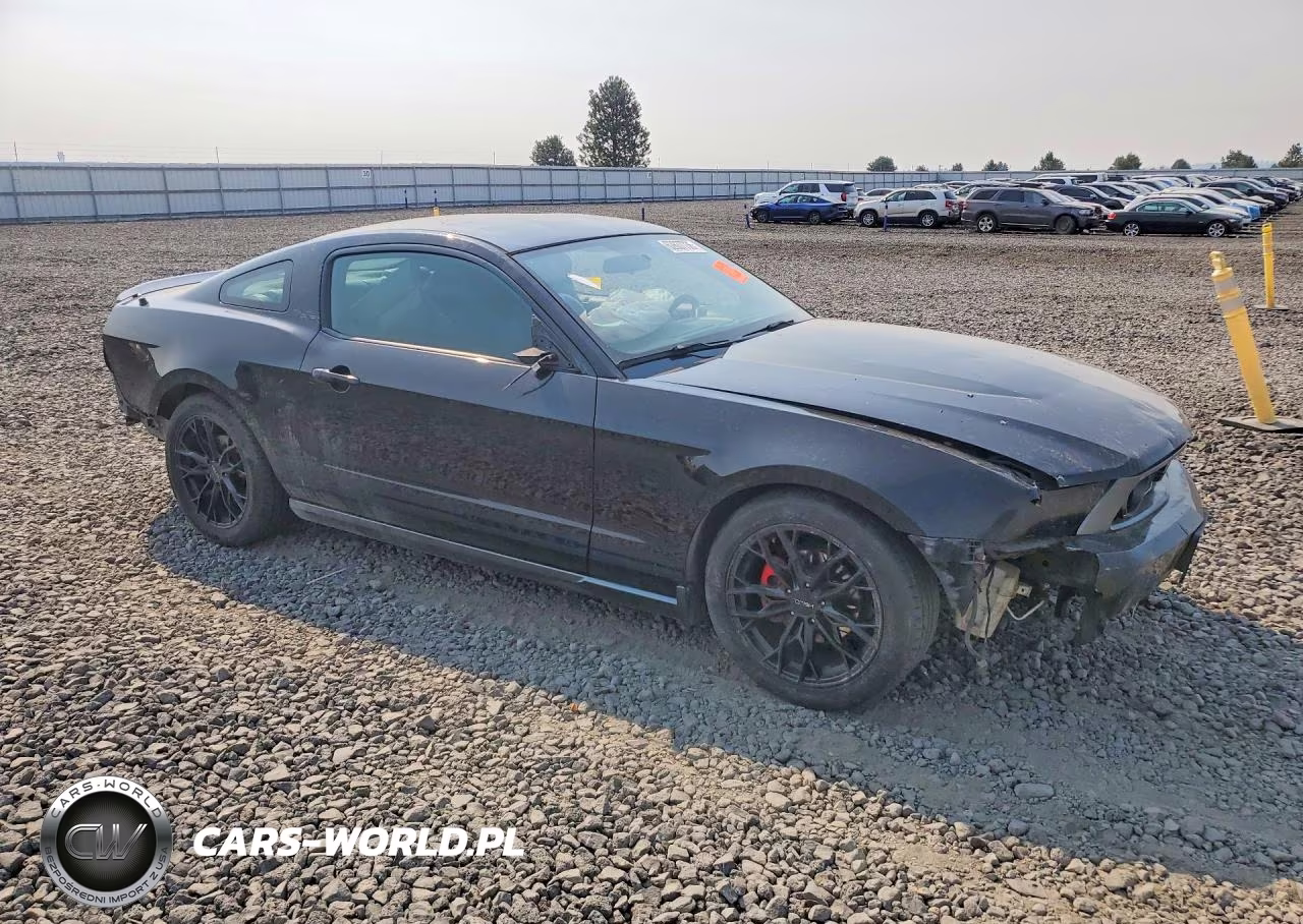 2010 Ford Mustang VIN:1ZVBP8AN9A5176396 - 4