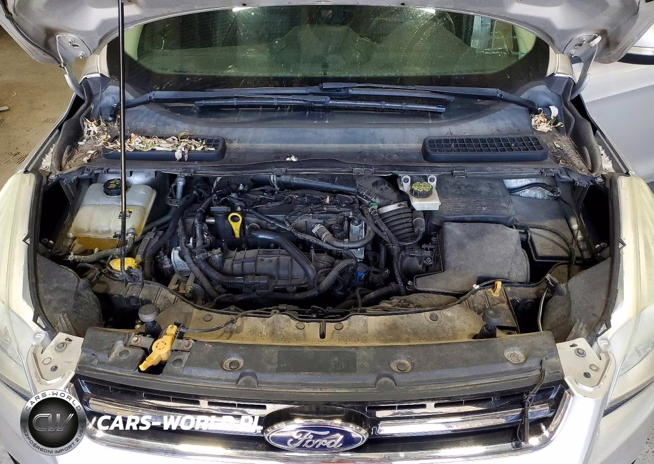 2013 Ford Escape Sel VIN:1FMCU9HX0DUB59585 - 12