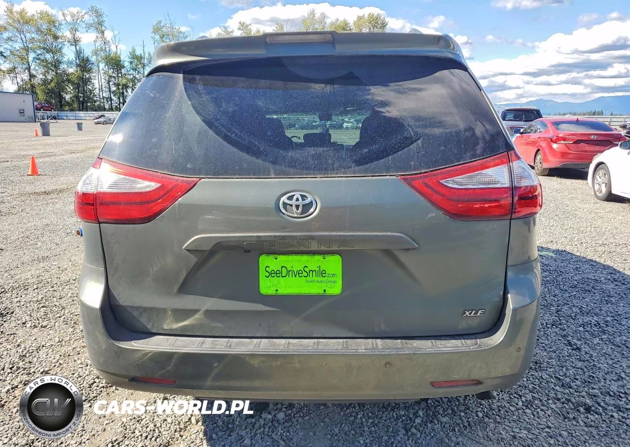 2018 Toyota Sienna Xle 8-Passenger VIN:5TDYZ3DC5JS908196 - 6