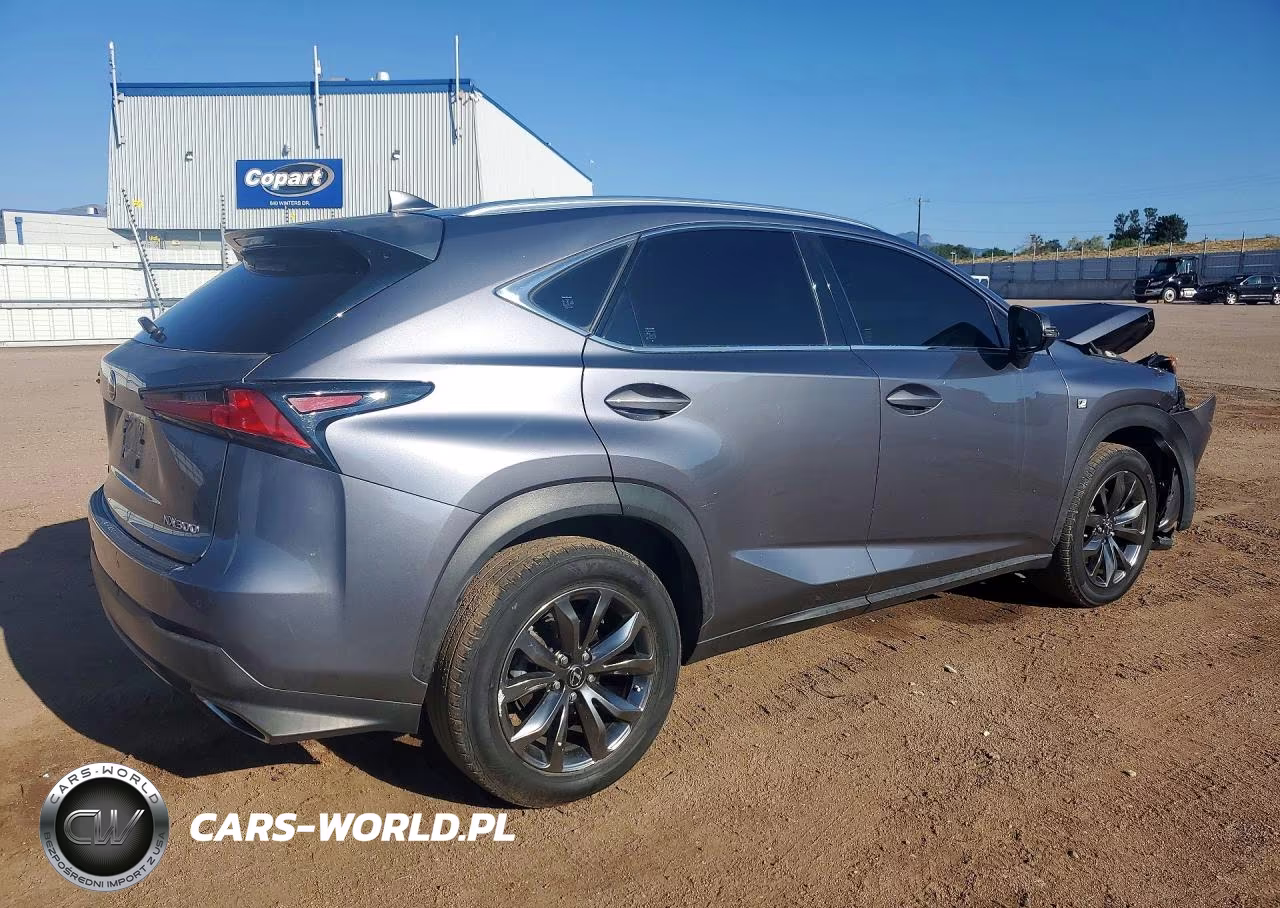 2018 Lexus Nx 300 F Sport VIN:JTJYARBZ5J2107483 - 3