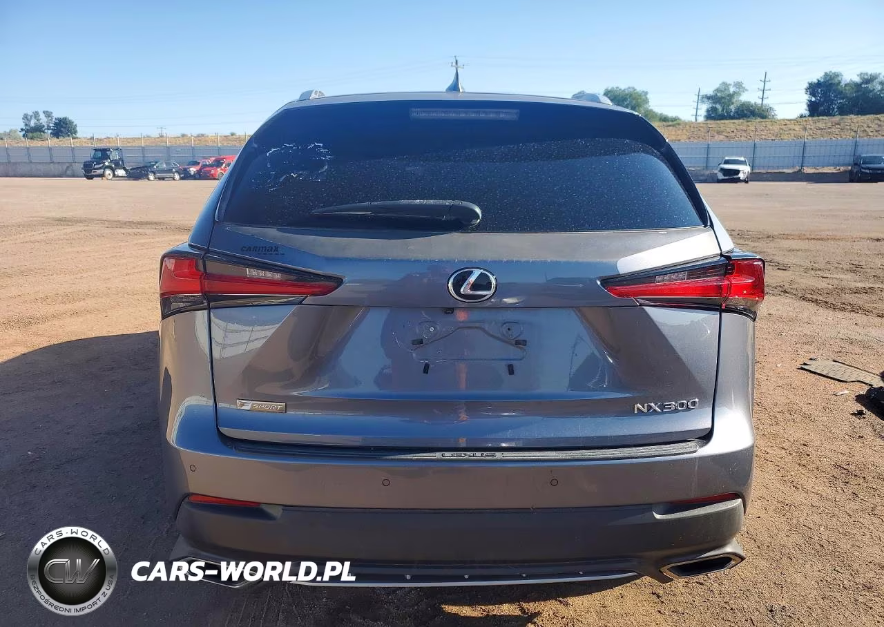 2018 Lexus Nx 300 F Sport VIN:JTJYARBZ5J2107483 - 6