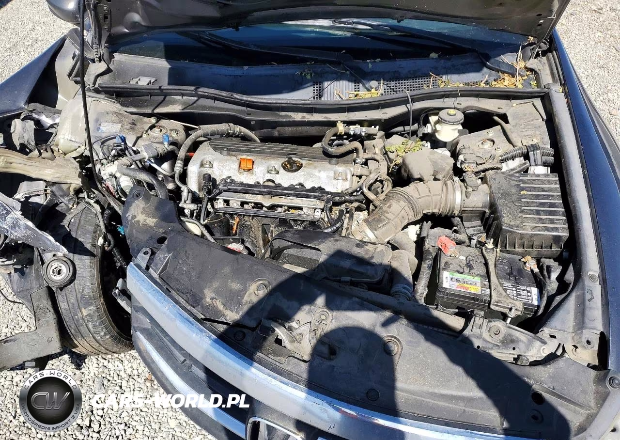 2011 Honda Accord Lx VIN:1HGCP2F36BA040426 - 11