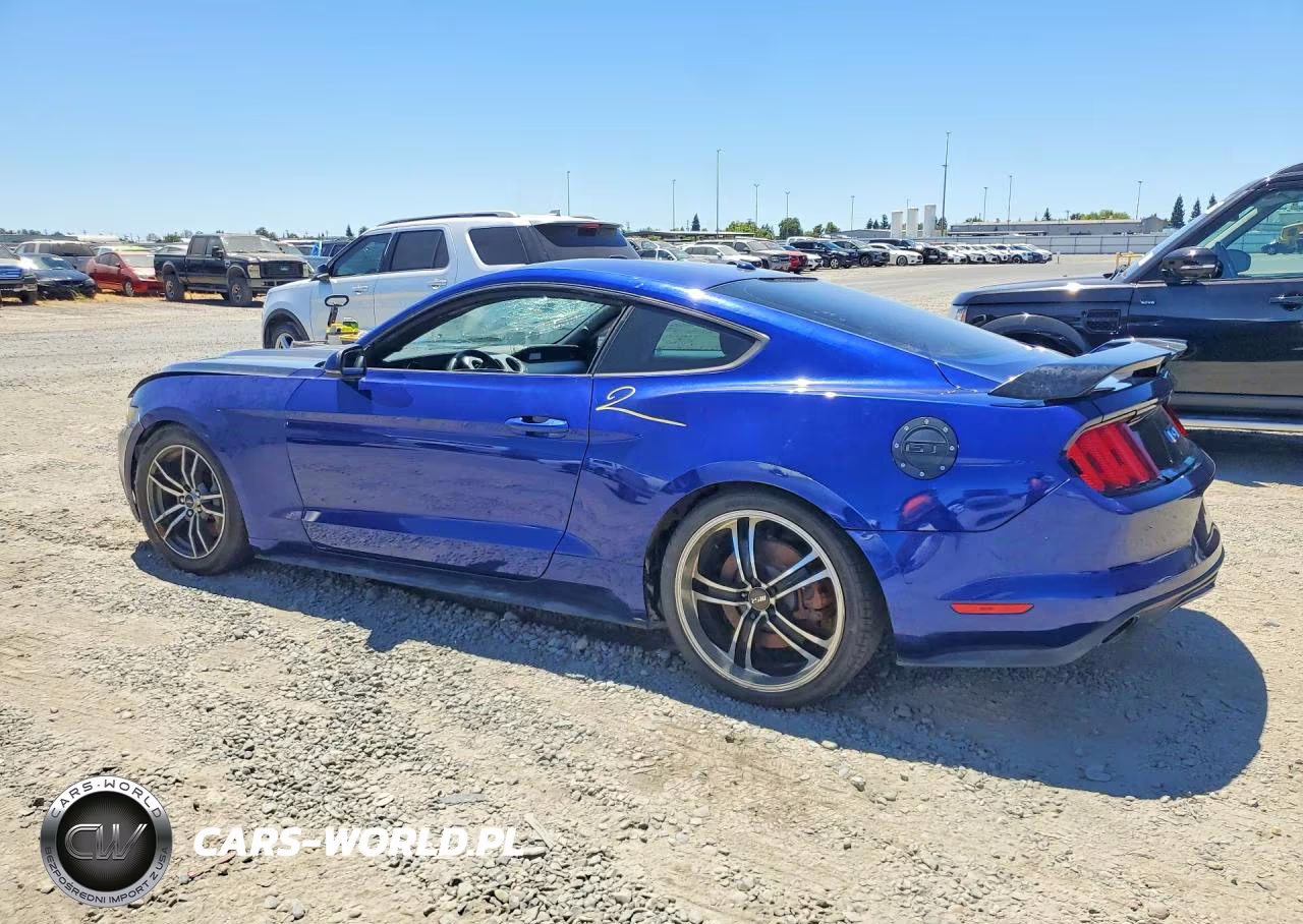 2016 Ford Mustang Gt VIN:1FA6P8CF0G5269185 - 2