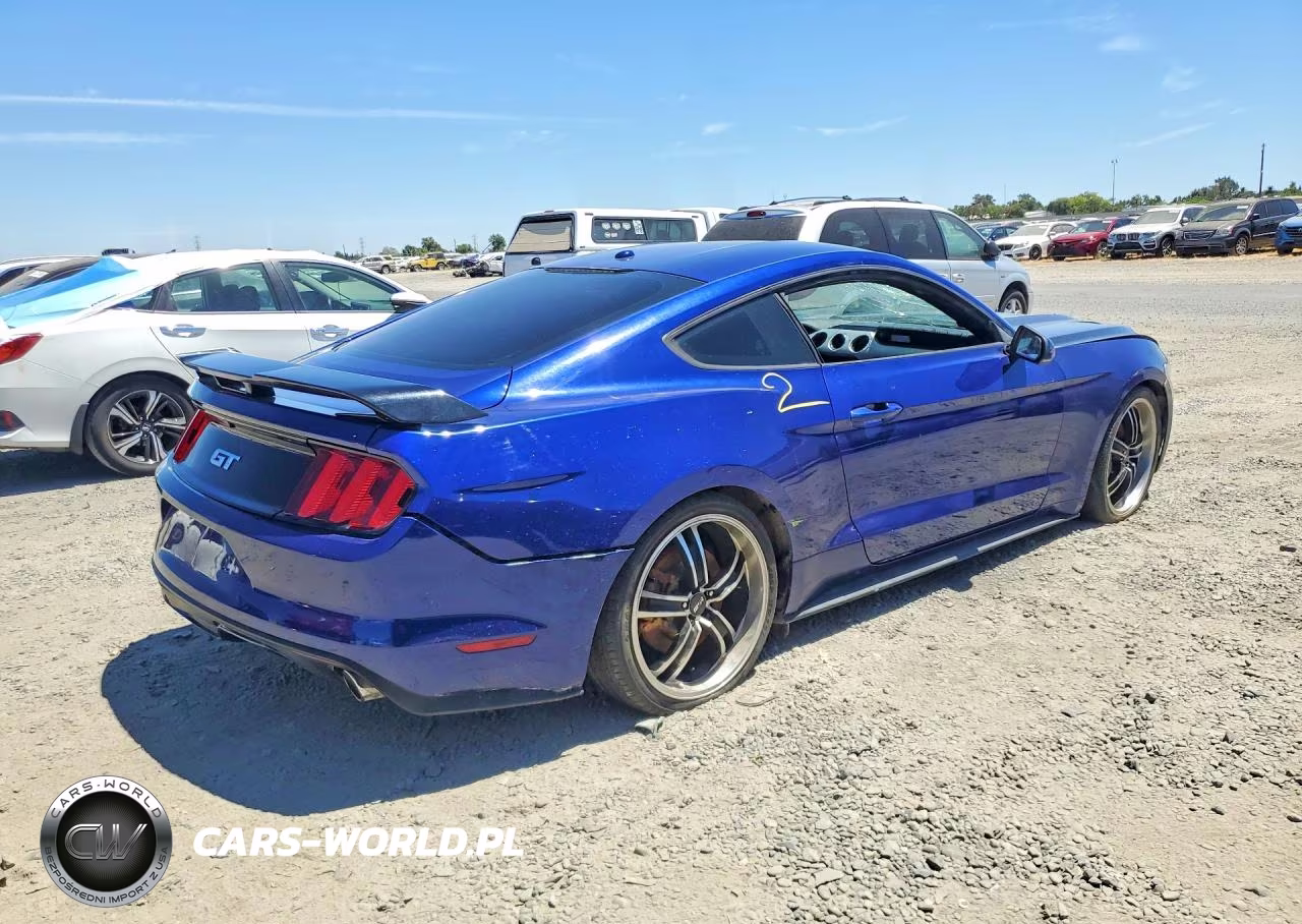 2016 Ford Mustang Gt VIN:1FA6P8CF0G5269185 - 3