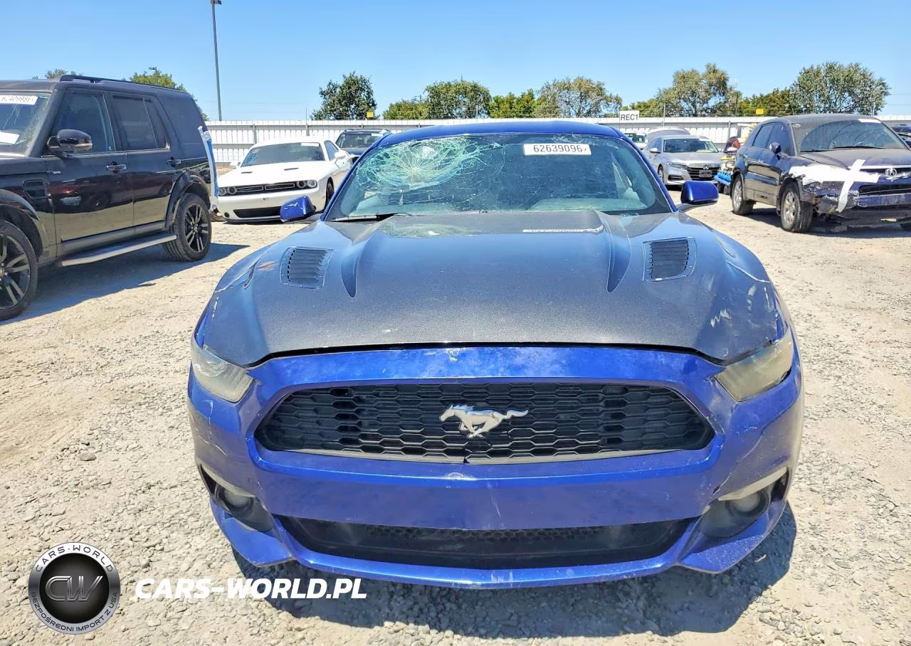 2016 Ford Mustang Gt VIN:1FA6P8CF0G5269185 - 5