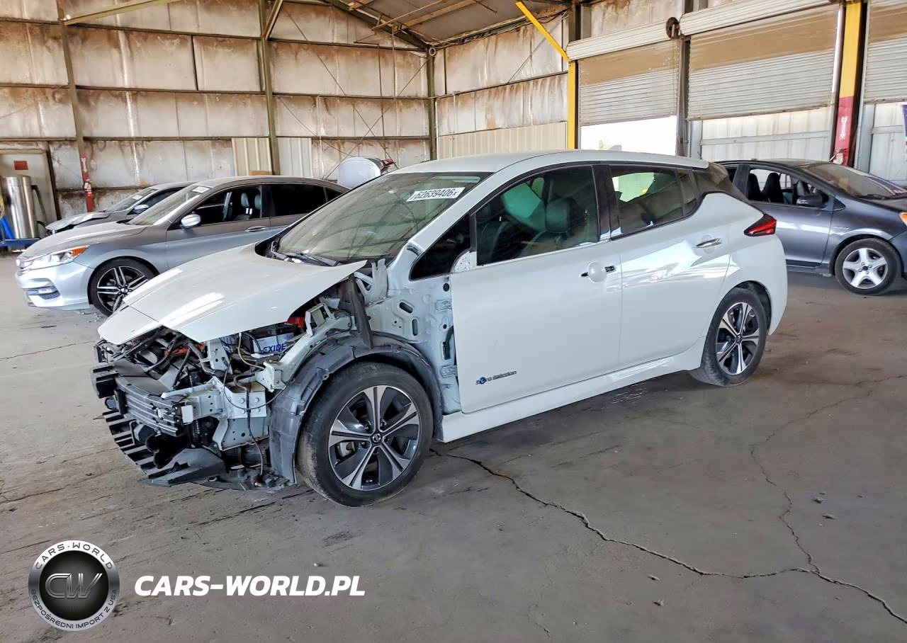 2019 Nissan Leaf Sl – zdjęcie 1 z 13
