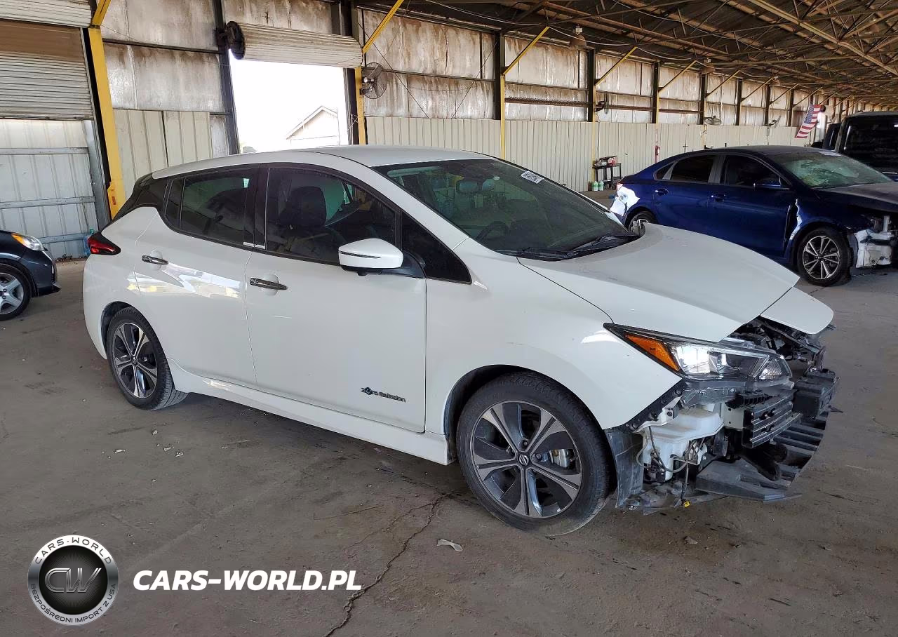 2019 Nissan Leaf Sl VIN:1N4AZ1CP2KC302292 - 4