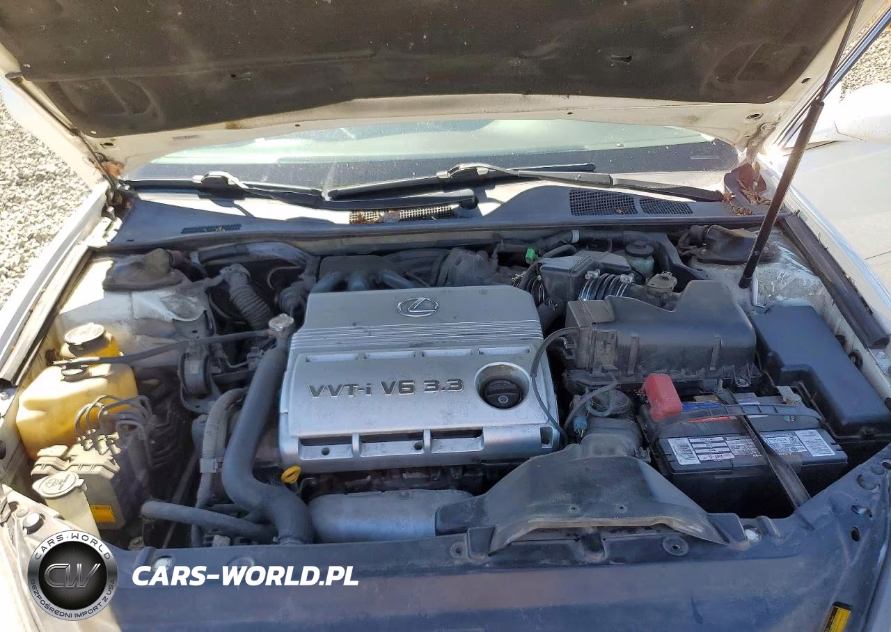 2004 Lexus Es 330 VIN:JTHBA30G645006686 - 11