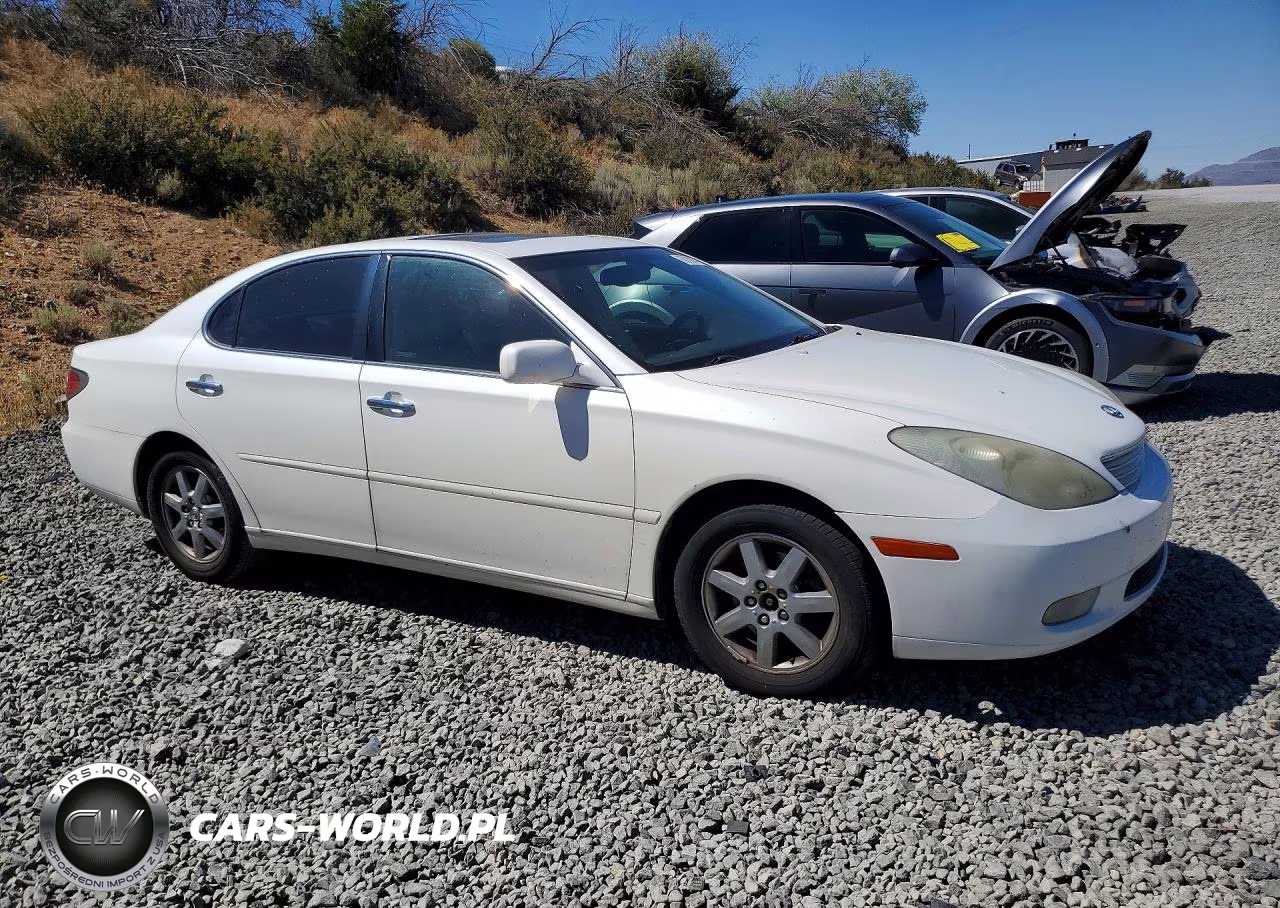 2004 Lexus Es 330 VIN:JTHBA30G645006686 - 4