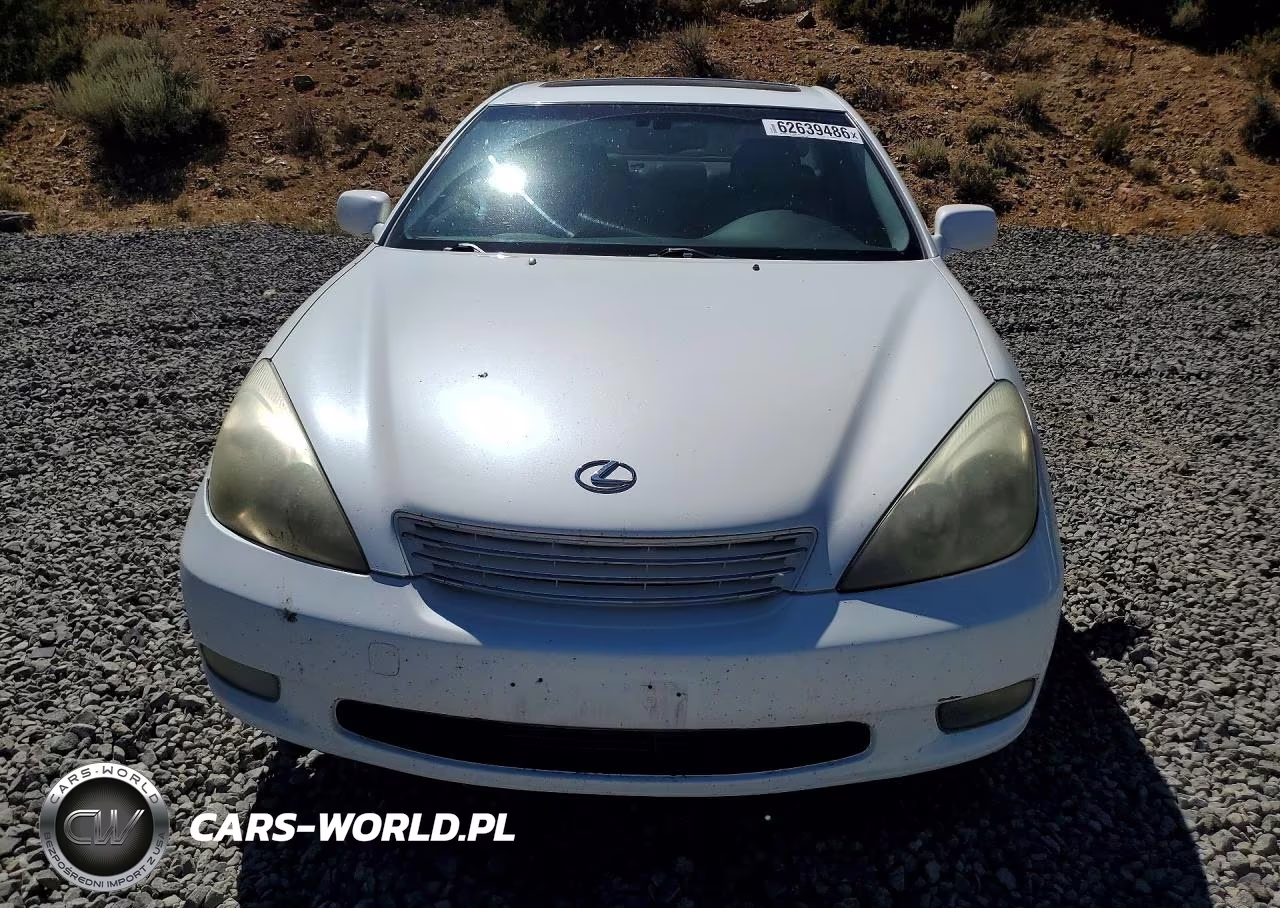 2004 Lexus Es 330 VIN:JTHBA30G645006686 - 5