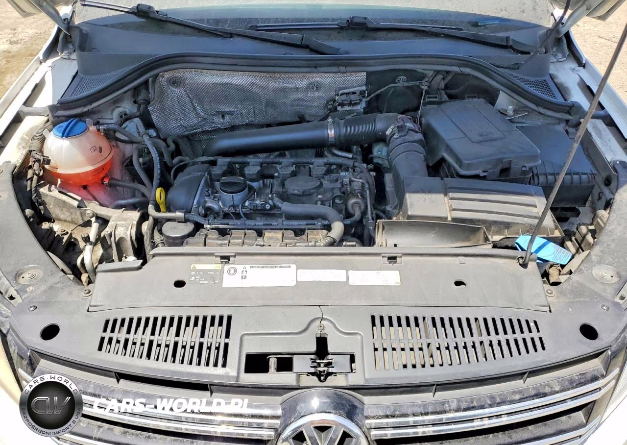 2015 Volkswagen Tiguan S VIN:WVGAV7AX4FW614495 - 12