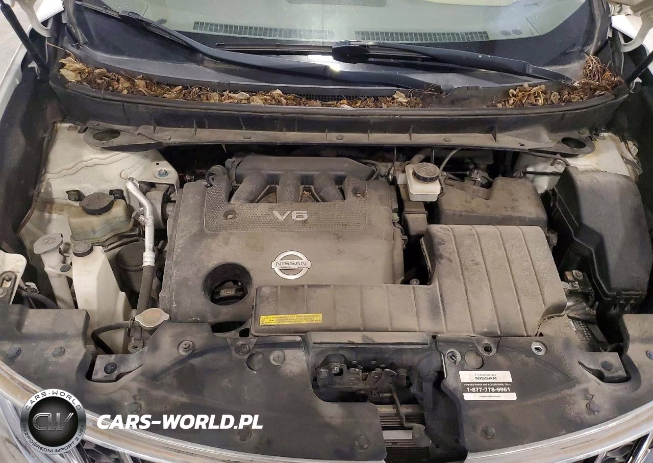 2013 Nissan Murano S VIN:JN8AZ1MW6DW307596 - 12