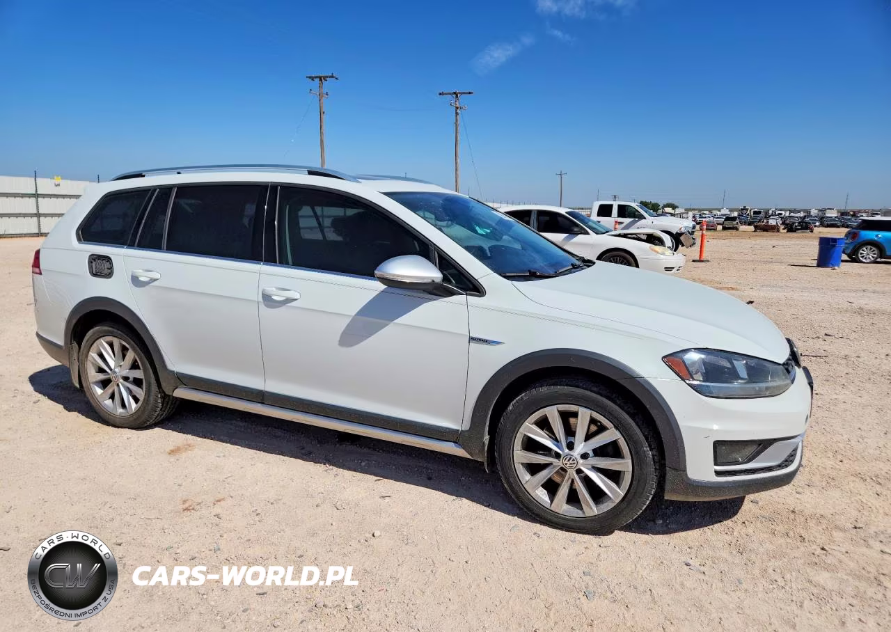 2019 Volkswagen Golf Alltrack S VIN:3VWH17AU2KM505822 - 4