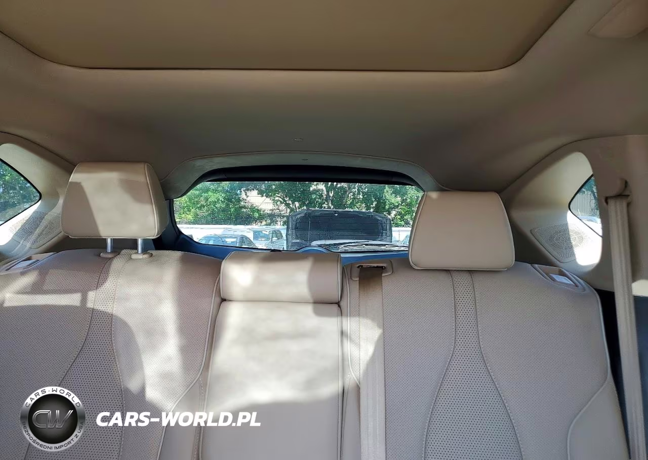 2019 Acura Rdx Advance VIN:5J8TC2H71KL027700 - 10