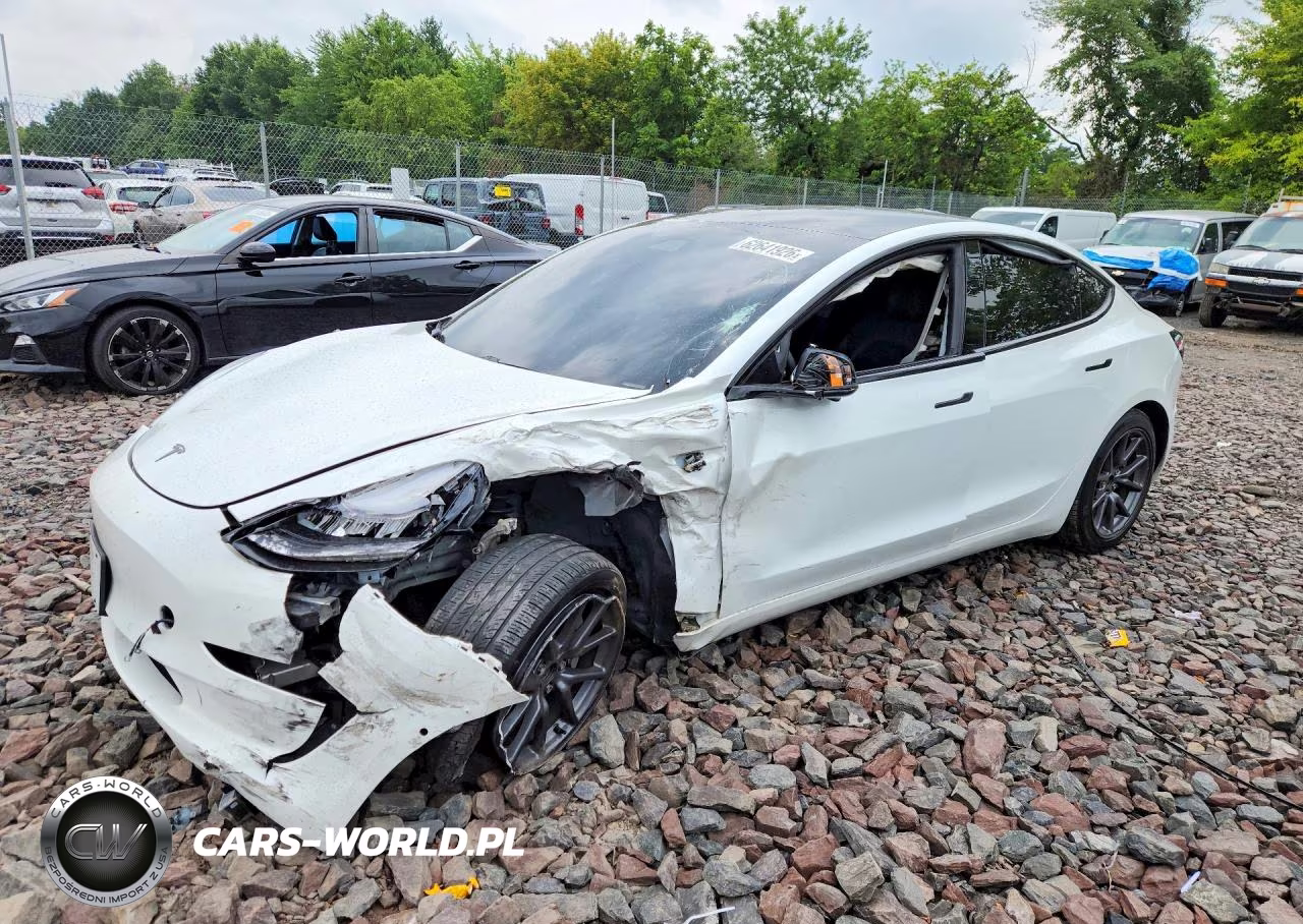2020 Tesla Model 3