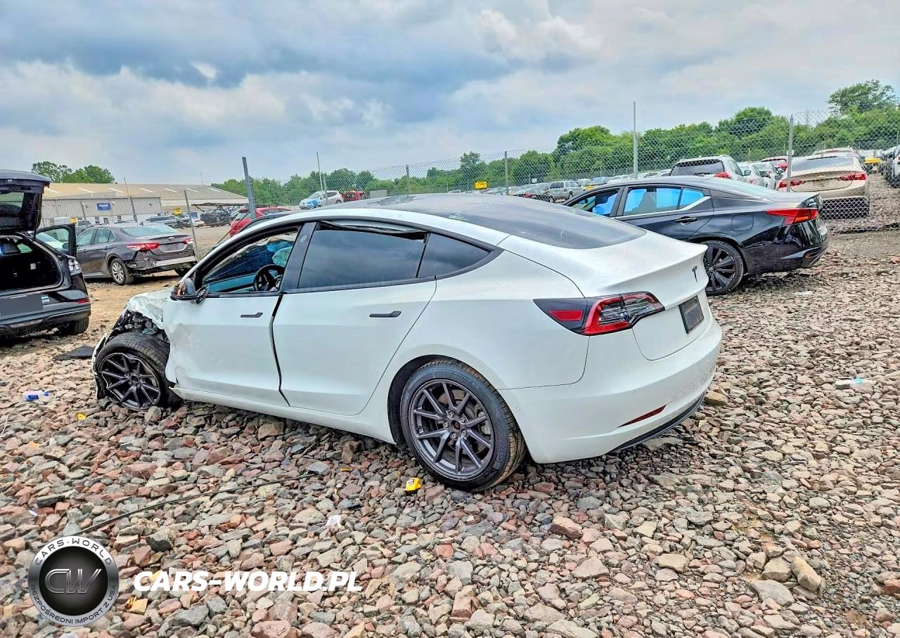 2020 Tesla Model 3 VIN:5YJ3E1EB1LF790607 - 2