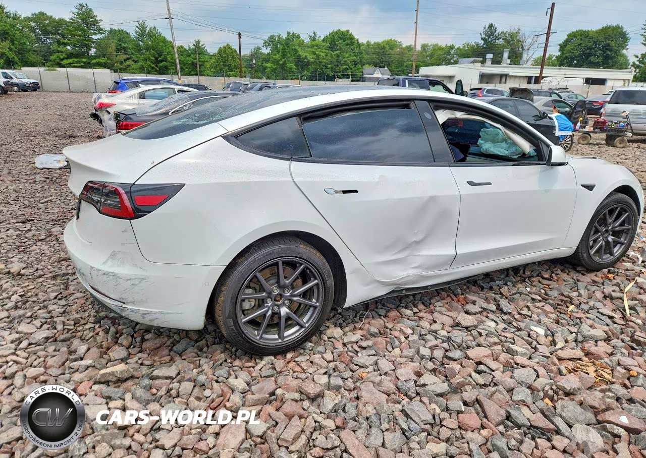 2020 Tesla Model 3 VIN:5YJ3E1EB1LF790607 - 3
