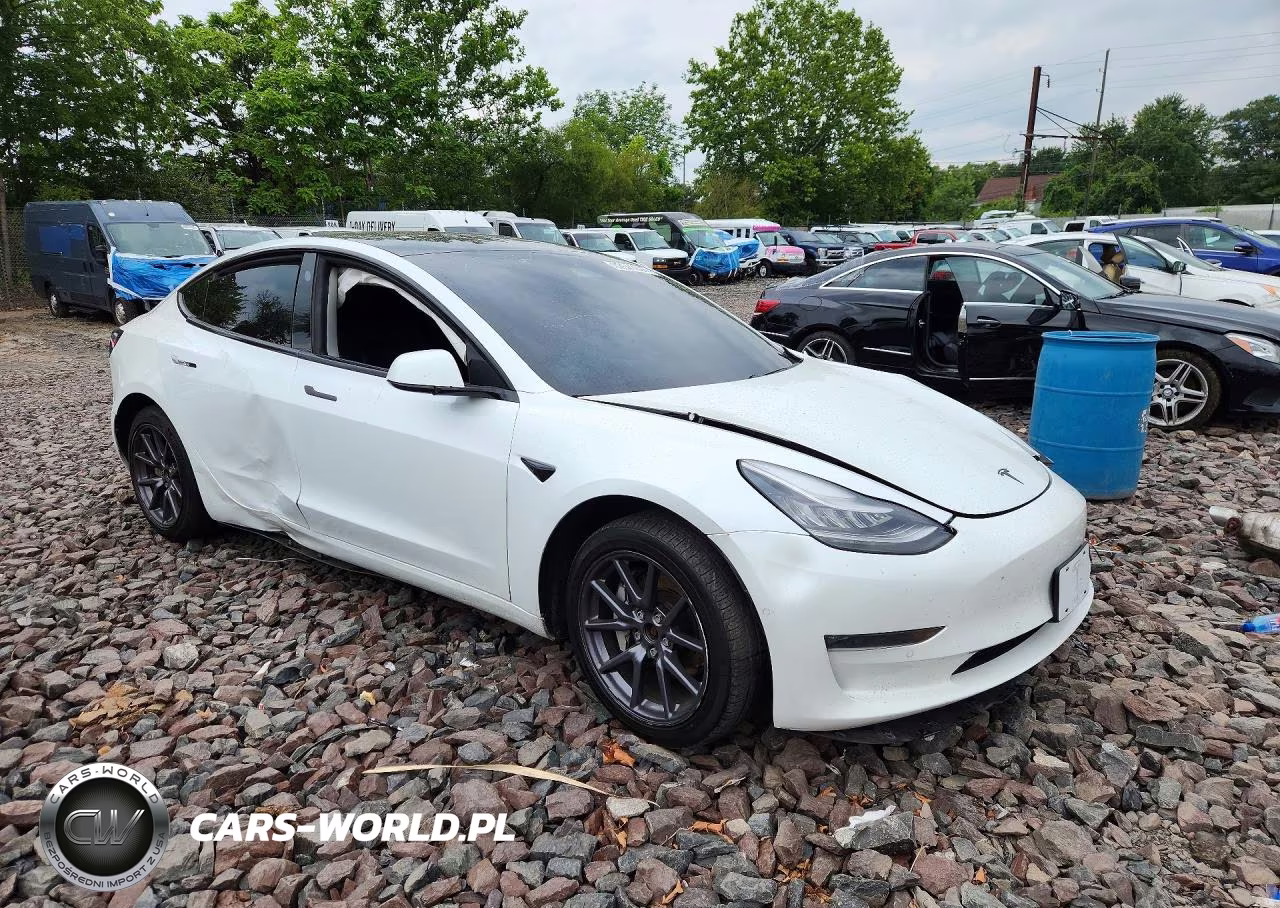 2020 Tesla Model 3 VIN:5YJ3E1EB1LF790607 - 4