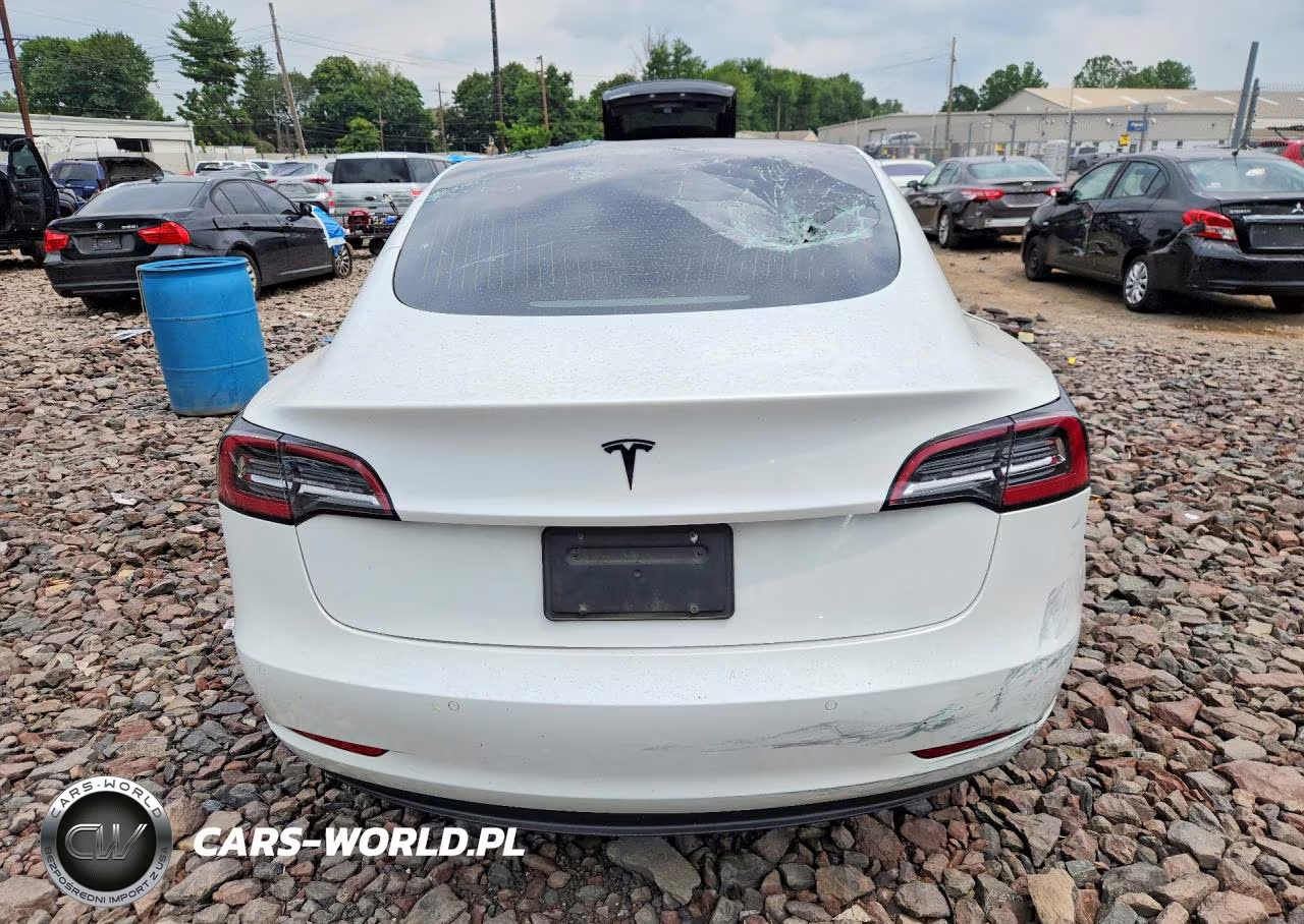 2020 Tesla Model 3 VIN:5YJ3E1EB1LF790607 - 6