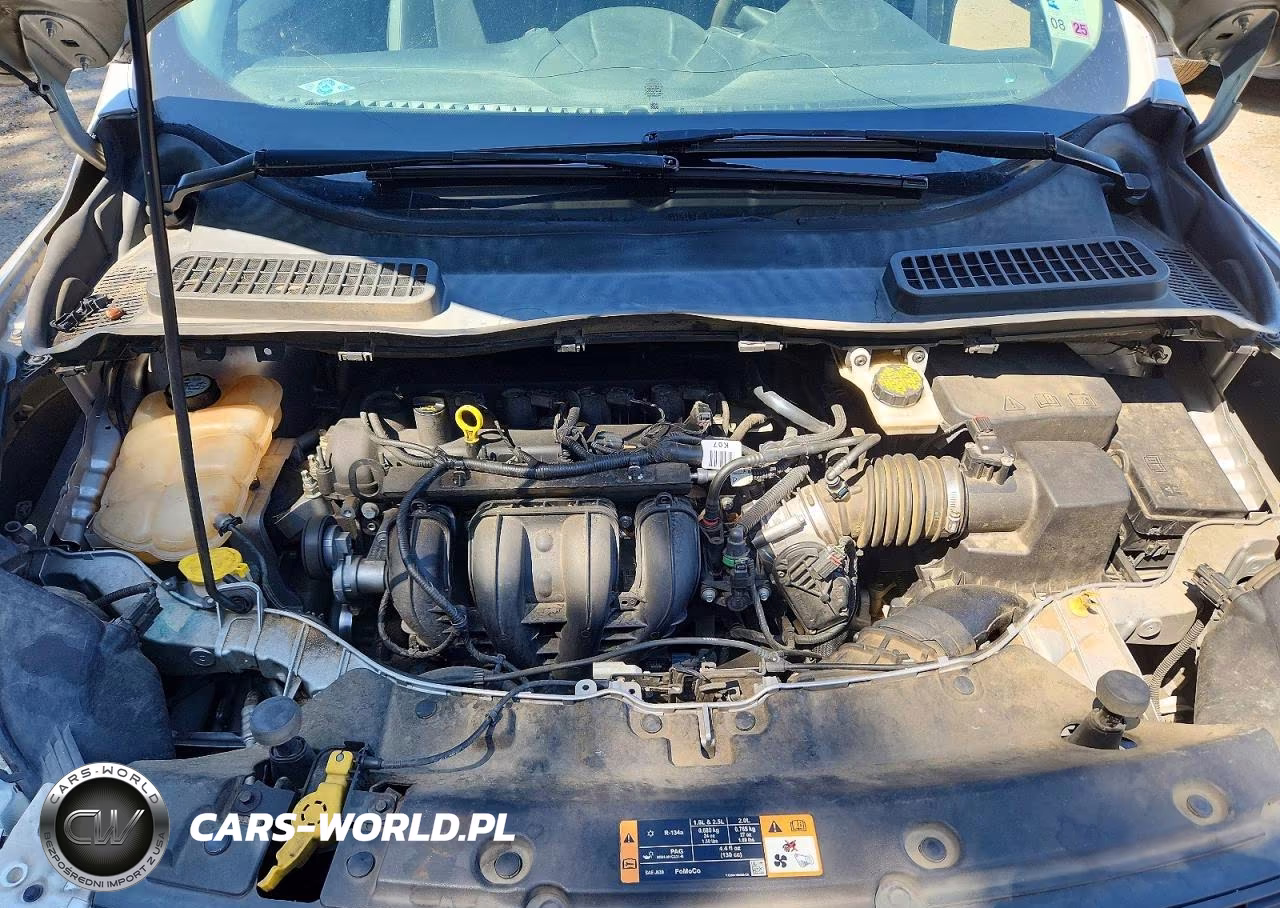 2016 Ford Escape S VIN:1FMCU0F77GUB79545 - 13
